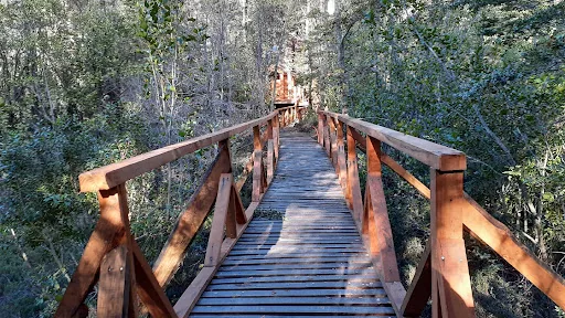 Domos Entre Bosques en Malleco