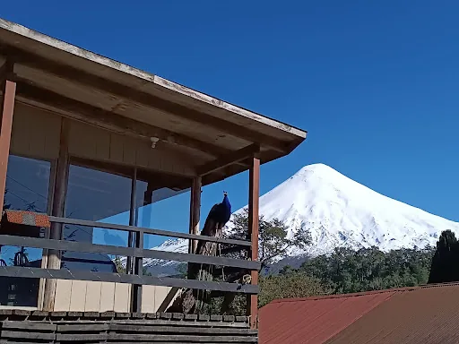 Hostal Donde La Nena en Llanquihue