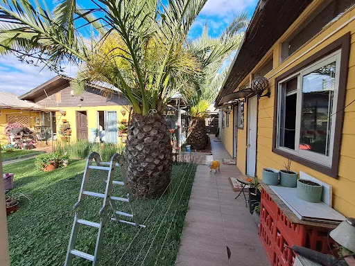 HOSTAL El Aromo en San Carlos
