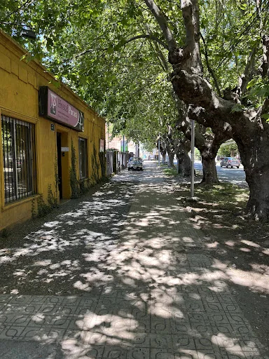 Hostal Pucará en Curicó