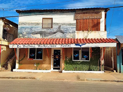 Hostel La Ballena Backpacker en Samana, República Dominicana