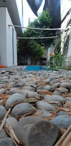 CASA Zen | Pachuca