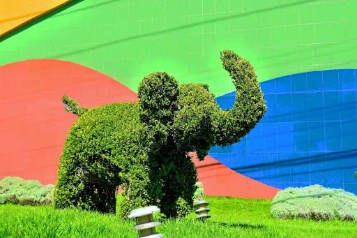 Motel Carioca | Pachuca