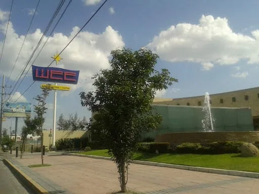 Wee | Leon